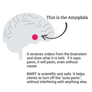 BWRT services in USA, BWRT of New York, Brainworking Recursive Therapy for unwanted habits